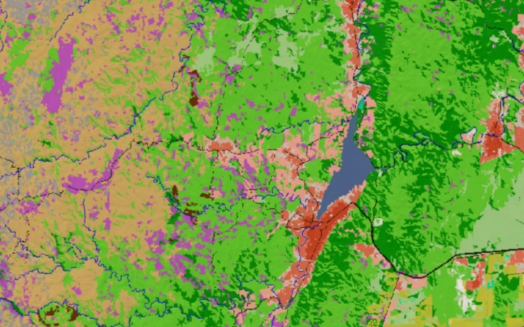 Mapa | Cobertura y Uso de Suelo (1 ha)