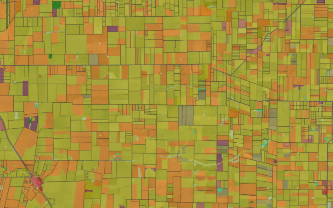 Mapa | Coberturas Agrícolas