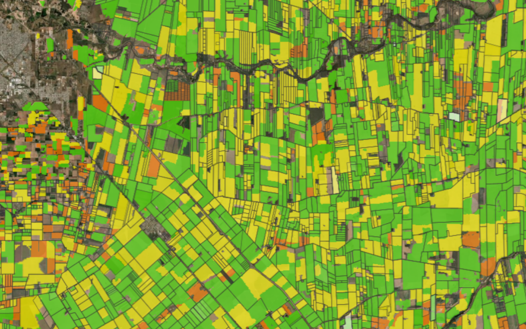 Mapa | Coberturas Agrícolas 21-22