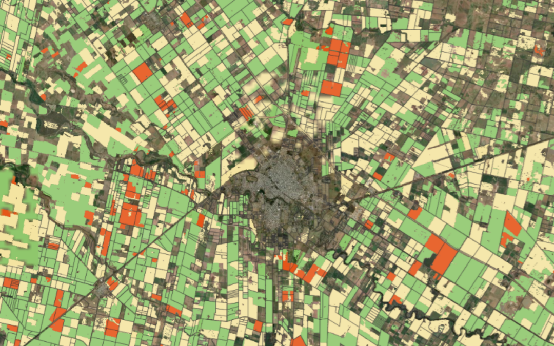 Mapa | Coberturas Agrícolas Estivales