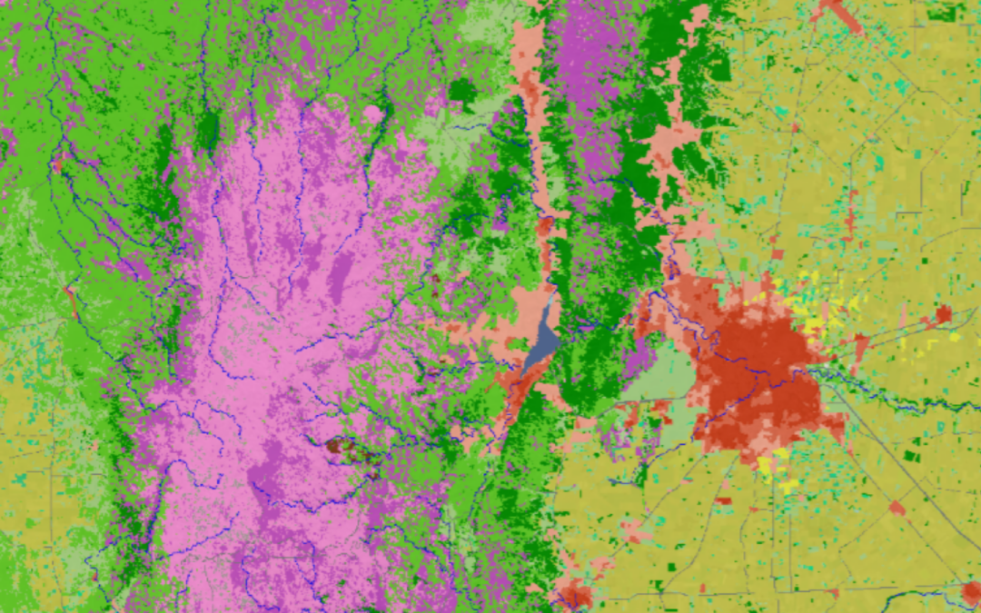 Mapa | Cobertura y Uso de Suelo (2.5 ha)