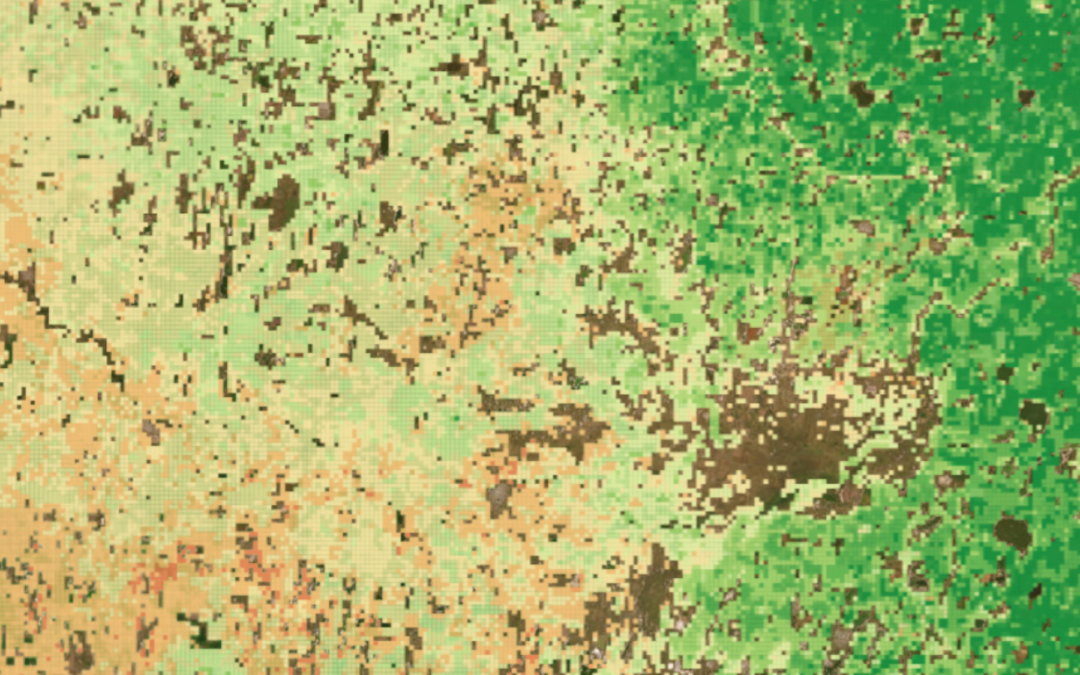 Mapa | Estimaciones Agrícolas 2020-2021