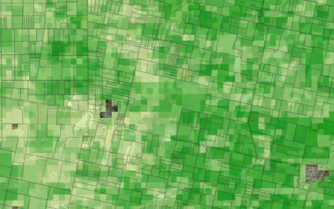 Mapa | Estimaciones Agrícolas 2021-2022