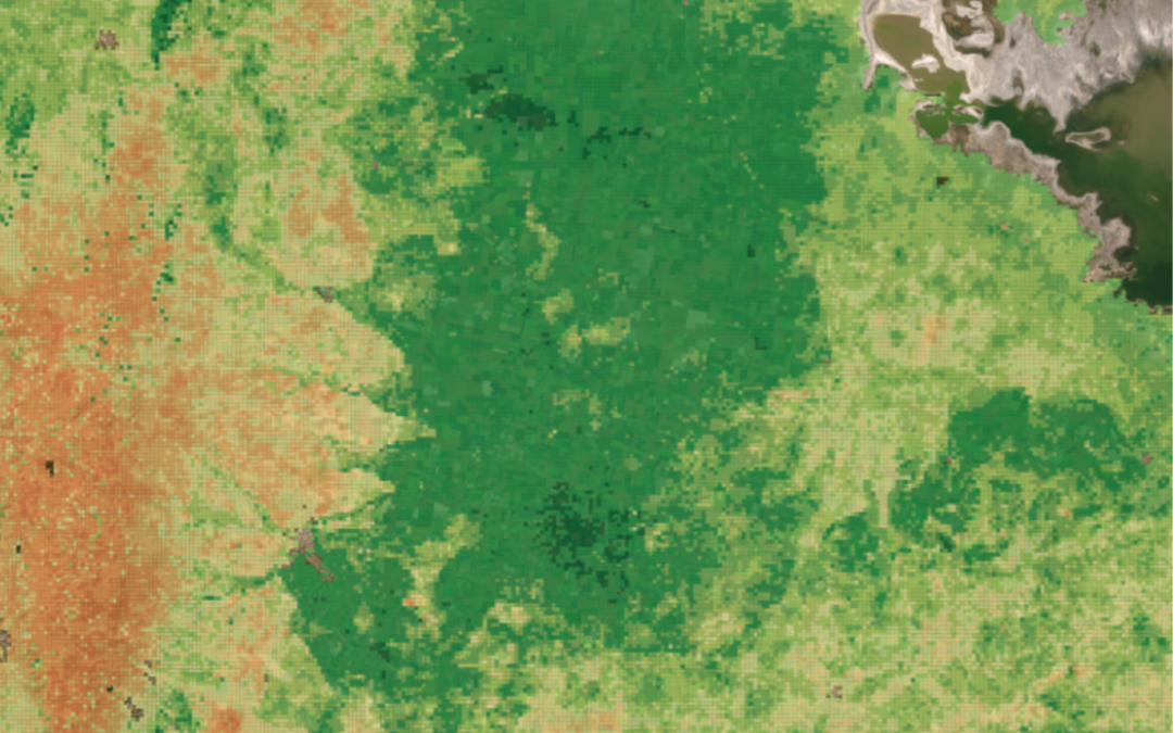 Mapa | Fósforo