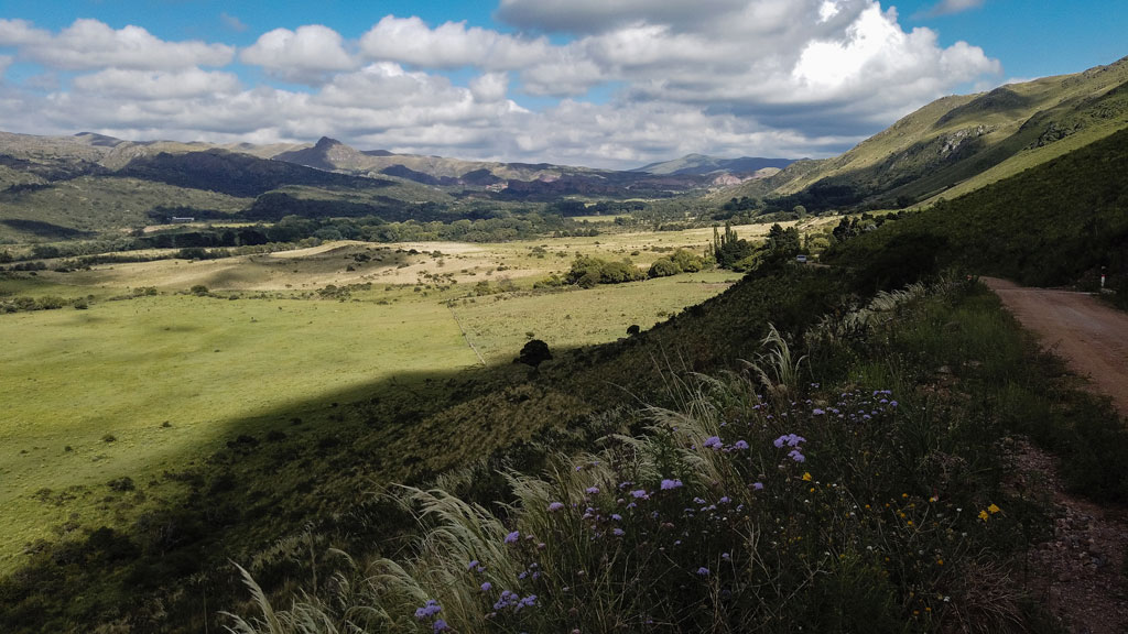 land-cover