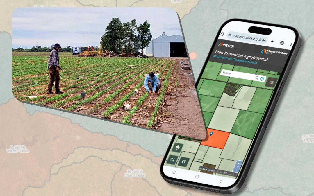 Red de ensayos forestales: nuevos datos en el mapa del Plan Provincial Agroforestal