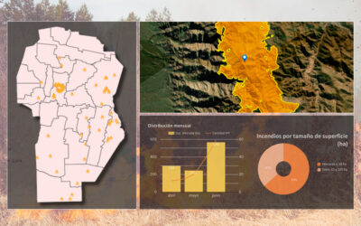 Incendios forestales en Córdoba: datos y mapa del segundo trimestre del año