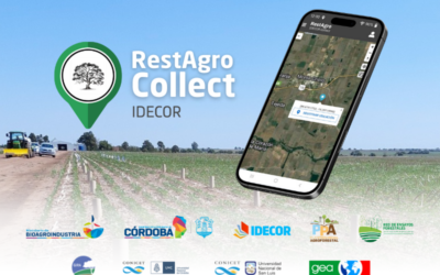 RestAgro Collect, una aplicación para monitorear las plantaciones forestales