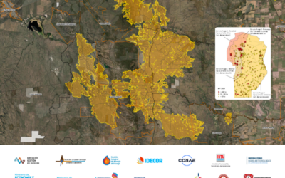 Incendios forestales en 2024, datos del mapeo provincial