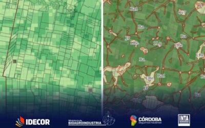 Rindes y capacidad de uso del suelo en Córdoba, qué muestran los datos de las últimas campañas