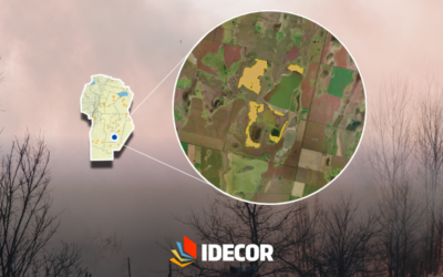 Mapeo de incendios forestales y rurales, qué pasó en el primer trimestre del año