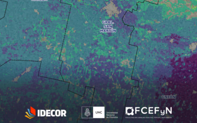 Mapa de arrendamientos agrícolas: los datos de la campaña 2024-2025