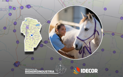 Veterinarias en la provincia: el nuevo mapa de Ganadería