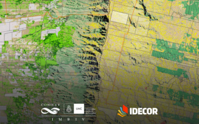 Mapa de Patrones espaciales de la vegetación de la provincia de Córdoba