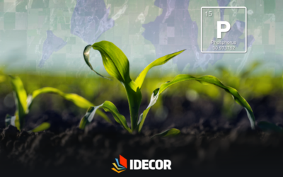 Propiedades del suelo: estimá el fósforo del suelo (kg/ha) usando datos de la IDE