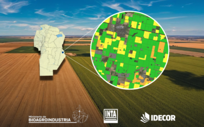 Agricultura cordobesa en detalle: sexta edición del mapa de coberturas estivales