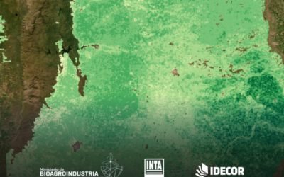 Rindes agrícolas de la campaña 24-25 en un nuevo mapa abierto