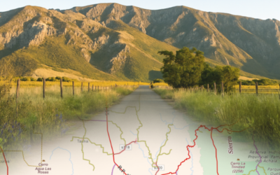 La ruta de los datos: hacia la construcción de una capa vial federal