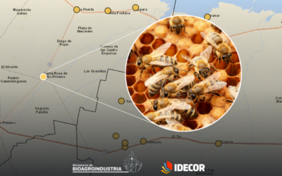 Producción apícola, el nuevo mapa de Ganadería