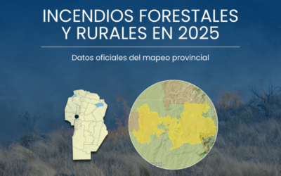 Incendios forestales y rurales en 2025, los datos oficiales del mapeo provincial