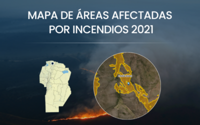 Mapeo de áreas quemadas: se suman datos de 2021 y se completa una serie de 5 años