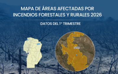 Incendios forestales y rurales, el primer trimestre de 2026  en cifras