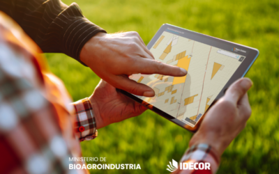 Buenas Prácticas Agropecuarias: mapa con las parcelas adheridas en 2025