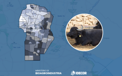 Ganadería publica el mapa de la producción de búfalos en Córdoba