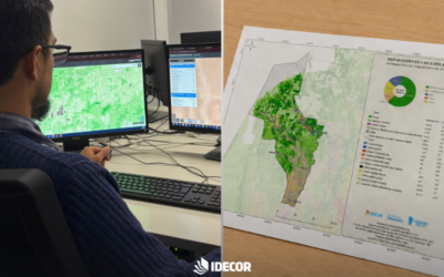 De la cartografía estática a ecosistemas dinámicos de información territorial