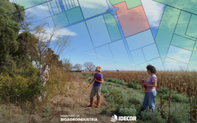 Plan Provincial Agroforestal: se actualiza el mapa con nuevos datos de la Red de Ensayos
