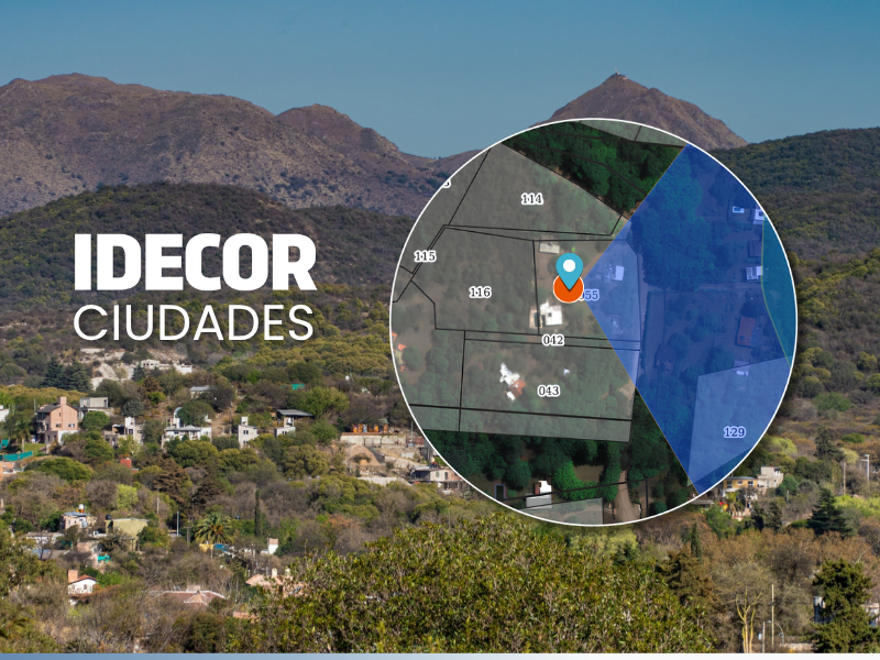 Datos para la gestión: cómo los municipios usan la información geográfica que publican 